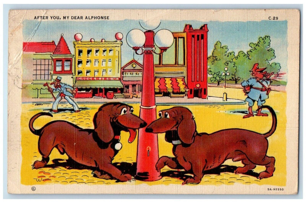1945 Wiener Dog And Dachshund My Dear Alphonse Groceries Newport KY Postcard