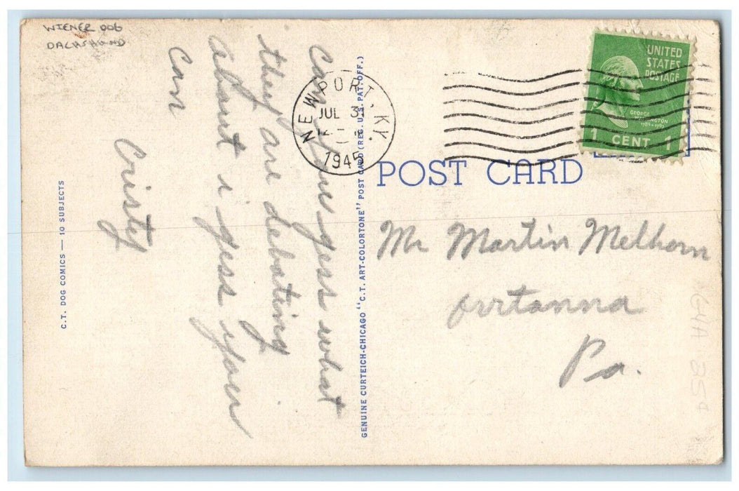 1945 Wiener Dog And Dachshund My Dear Alphonse Groceries Newport KY Postcard