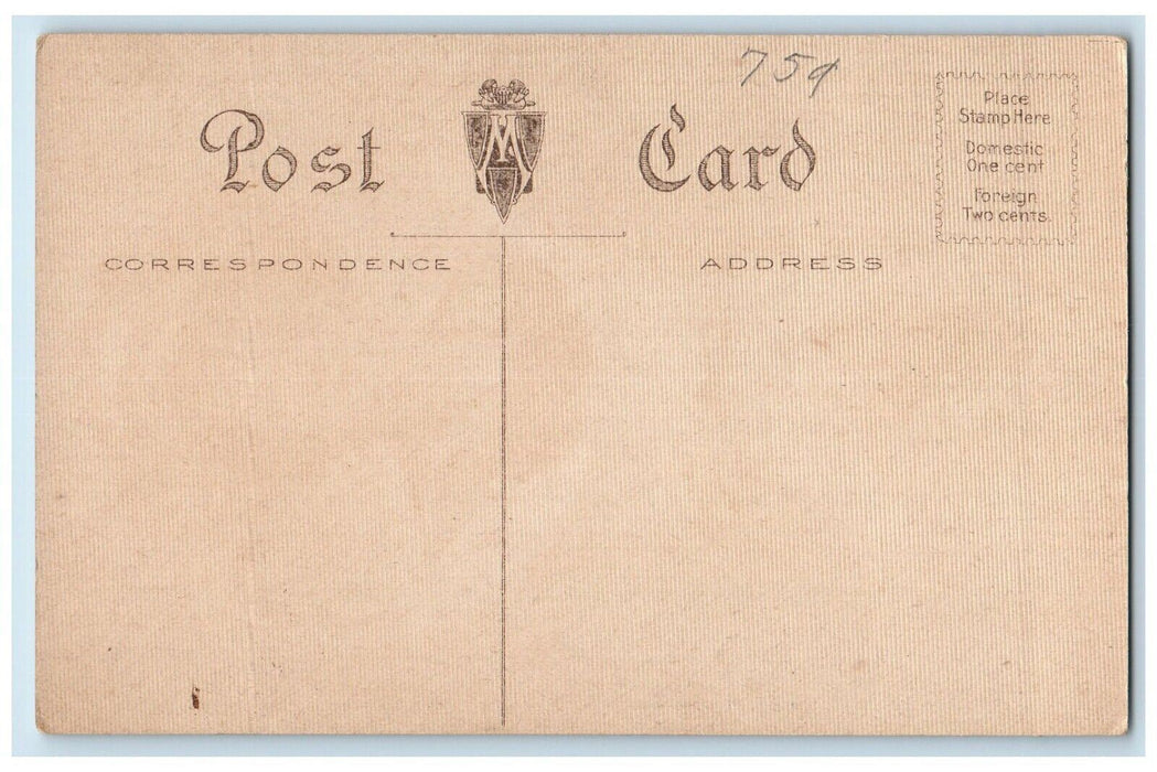 c1910's Pretty Victorian Woman Ponytail Boating River Unposted Antique Postcard