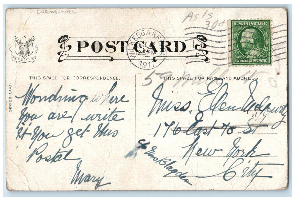 1911 Woman Weird Humor Carmichael Wilkes Barre Pennsylvania PA Antique Postcard