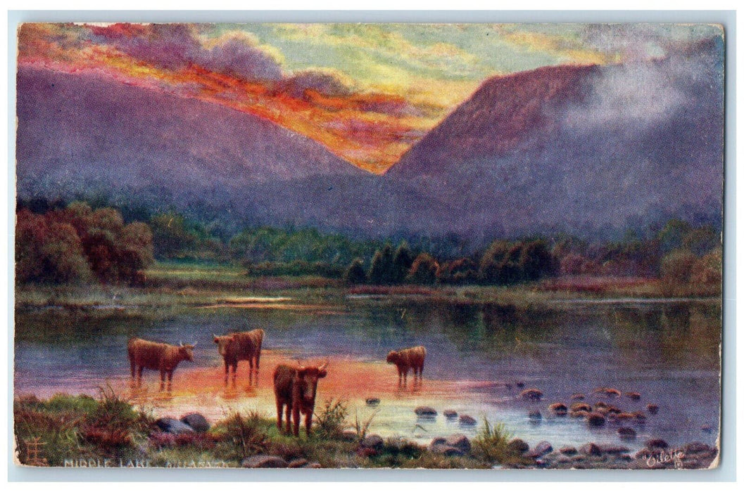 c1910 Middle Lake Killarney Ireland Antique Oilette Tuck Art Postcard
