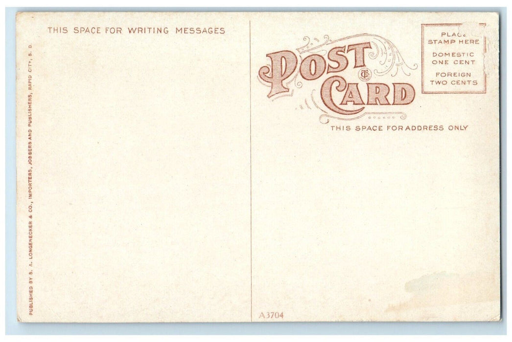 c1910's Western Bob Cat At The Forest Animals Unposted Antique Postcard