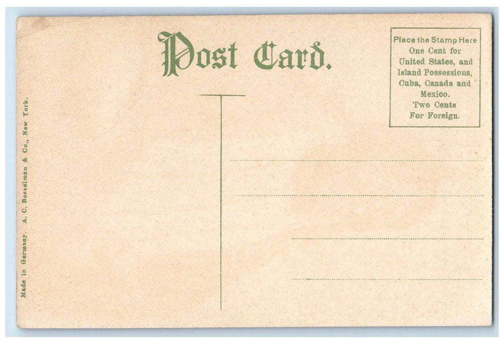 c1910 Kiowas Kicking Tribe Bird Native American Indigenous Arrow Indian Postcard