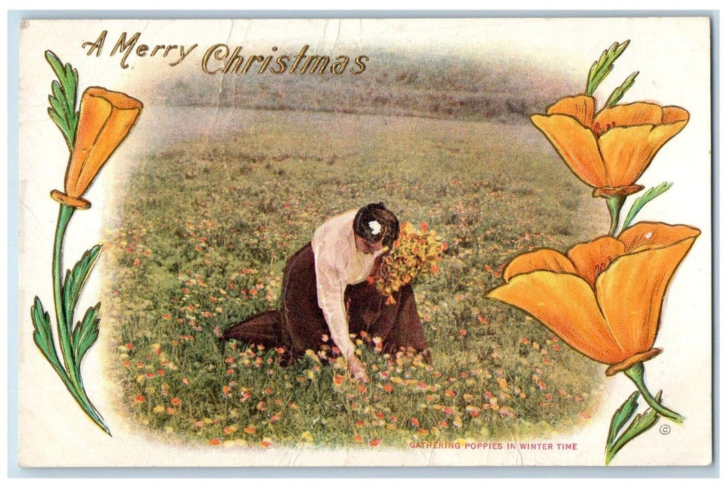c1910's Christmas Woman Gathering Poppies Flowers In Winter Time Posted Postcard