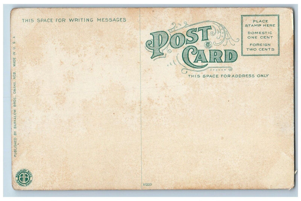 c1910 Castle Buttes Union Pacific Train Distance Green River Wyoming WY Postcard