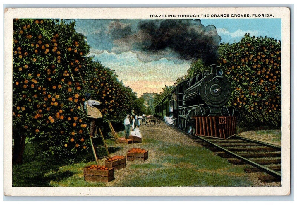 c1920 Traveling Through Locomotive Train Farm Orange Groves Florida FL Postcard