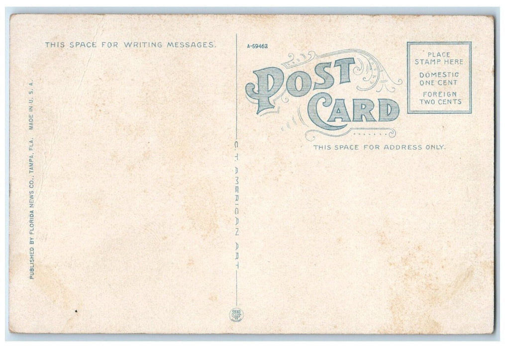 c1920 Traveling Through Locomotive Train Farm Orange Groves Florida FL Postcard