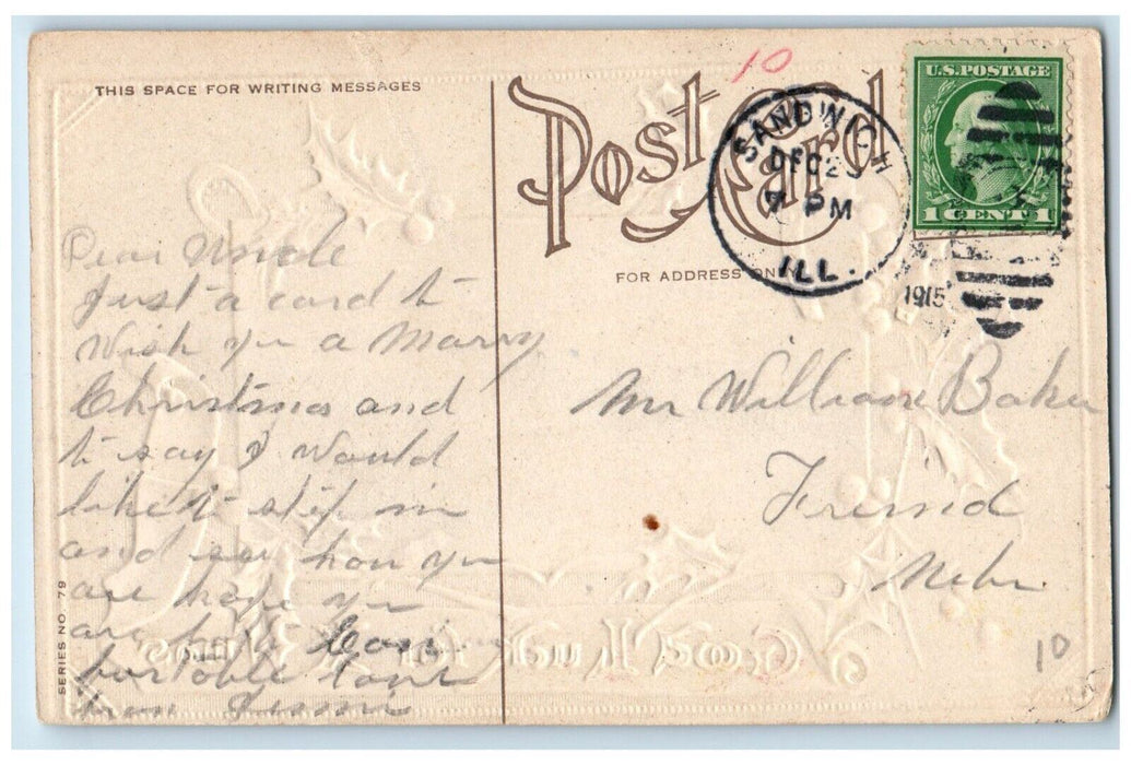 1915 Christmas Horsehoe Good Luck Berries Winter Sandwich Illinois IL Postcard