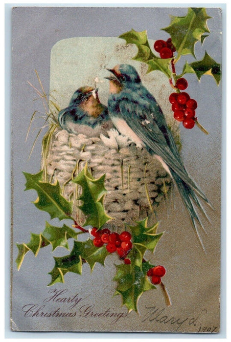 1907 Christmas Greetings Song Birds Holly Berries Nash Embossed Antique Postcard