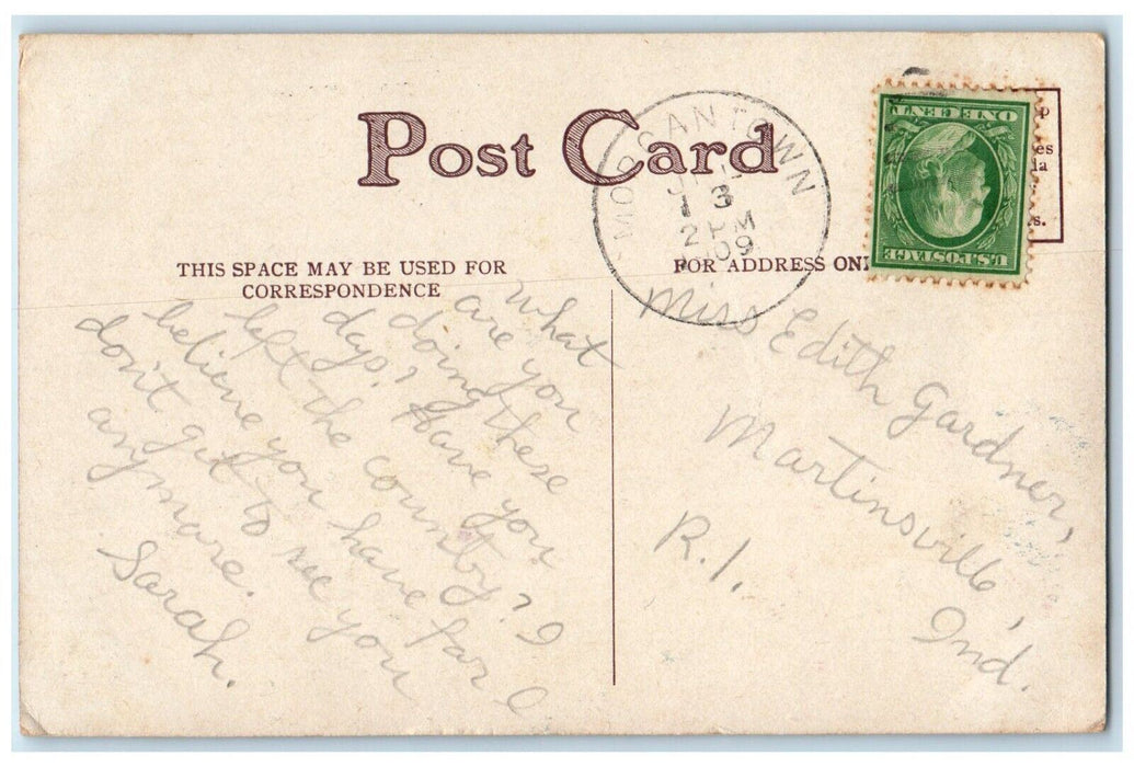 1909 Sincere Wishes Bird At The Pine Leaf Morgantown West Virginia WV Postcard