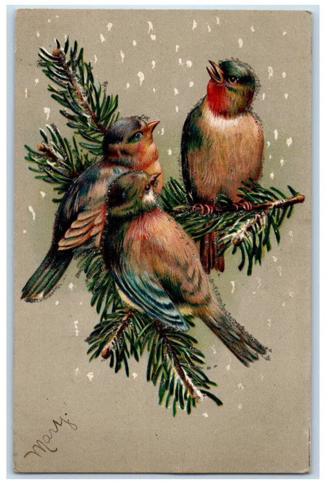 c1905 Christmas Song Birds Pine Leaf Snowfalls Winter Embossed Antique Postcard