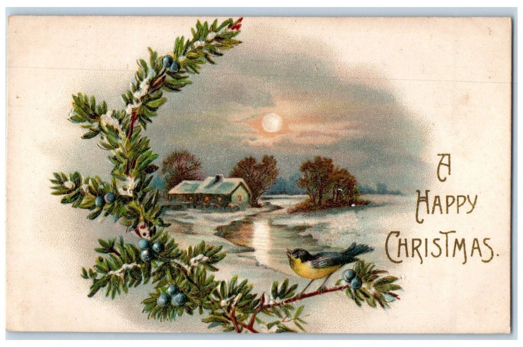 c1910's Christmas Song Bird Berries House Winter Embossed Antique Postcard