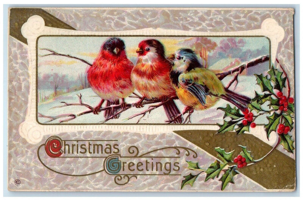 1913 Christmas Greetings Birds And Holly Berries Winter Winsch Back Postcard