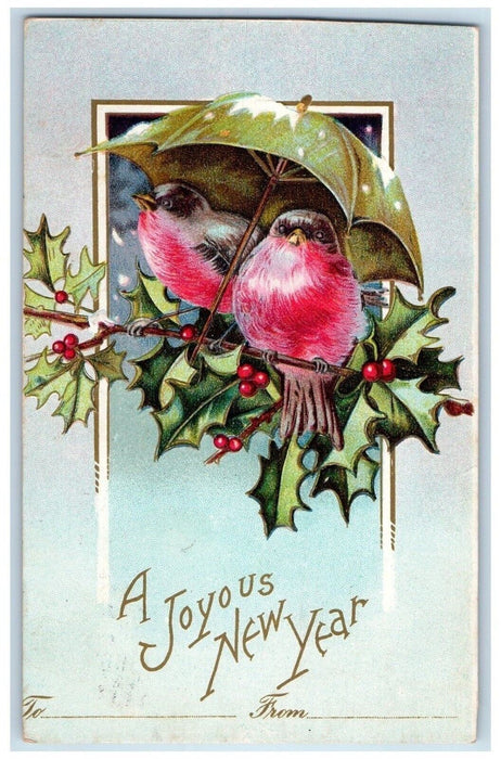 1909 New Year Song Birds On Top Of Berries Umbrella Winter Clapsaddle Postcard