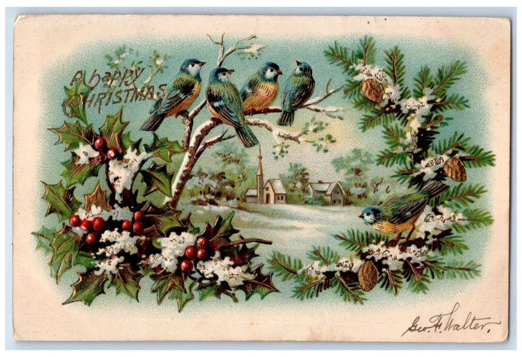 1906 Christmas Song Birds On Top Of Tree Pine Cone Berries Winter Postcard