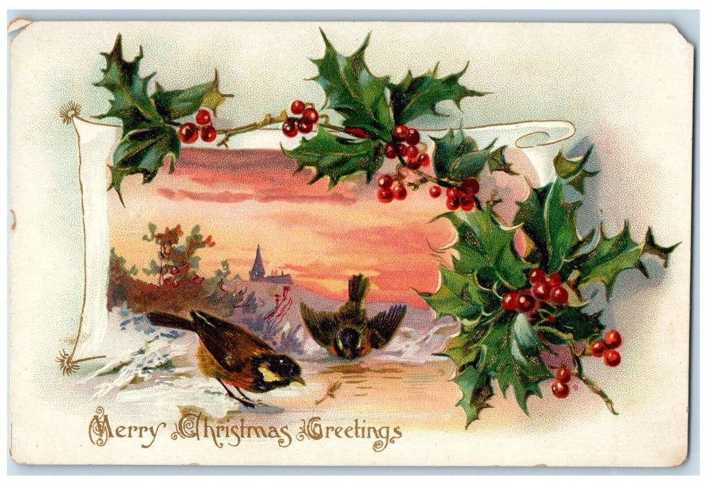 c1905 Christmas Greetings Birds And Holly Berries Embossed Tuck's Postcard