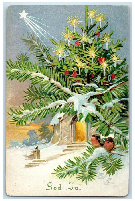 1908 Christmas Tree Pine Leaf And Birds Winter Embossed Posted Antique Postcard