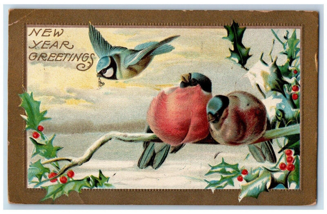 1910 New Year Greetings Birds Holly Berries Winter Embossed Antique Postcard