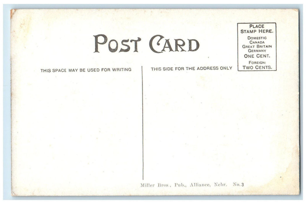 Herd Of Cows Ranch Scene Alliance Western Nebraska NE Vintage Unposted Postcard