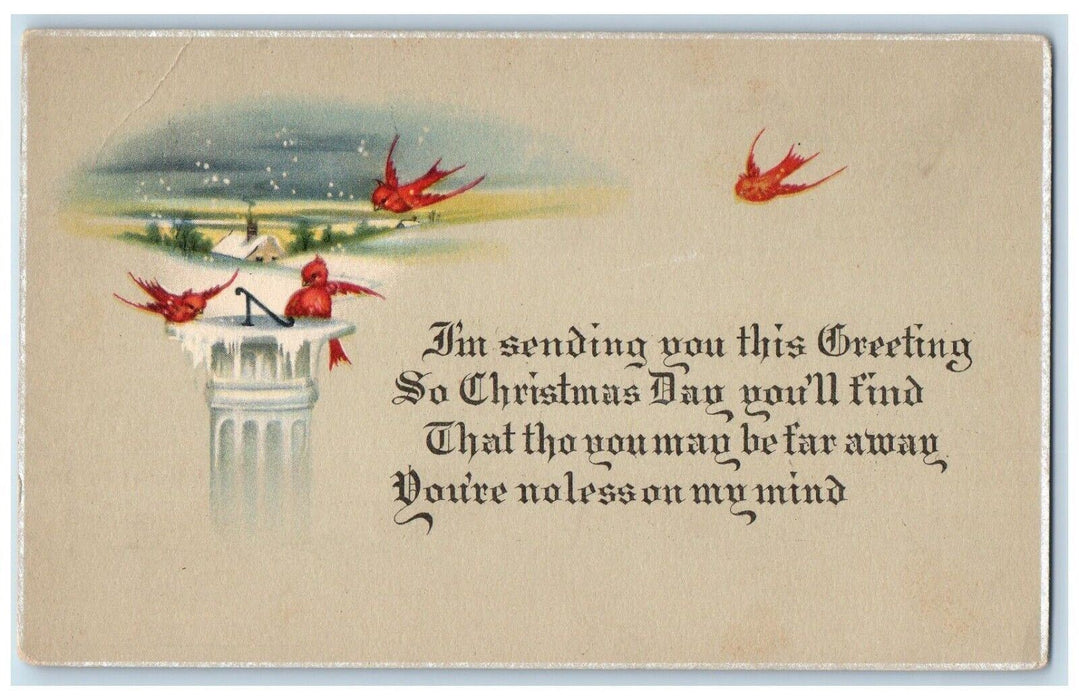 c1910's Christmas Greetings Bird Bath Snowfalls House Winter Antique Postcard