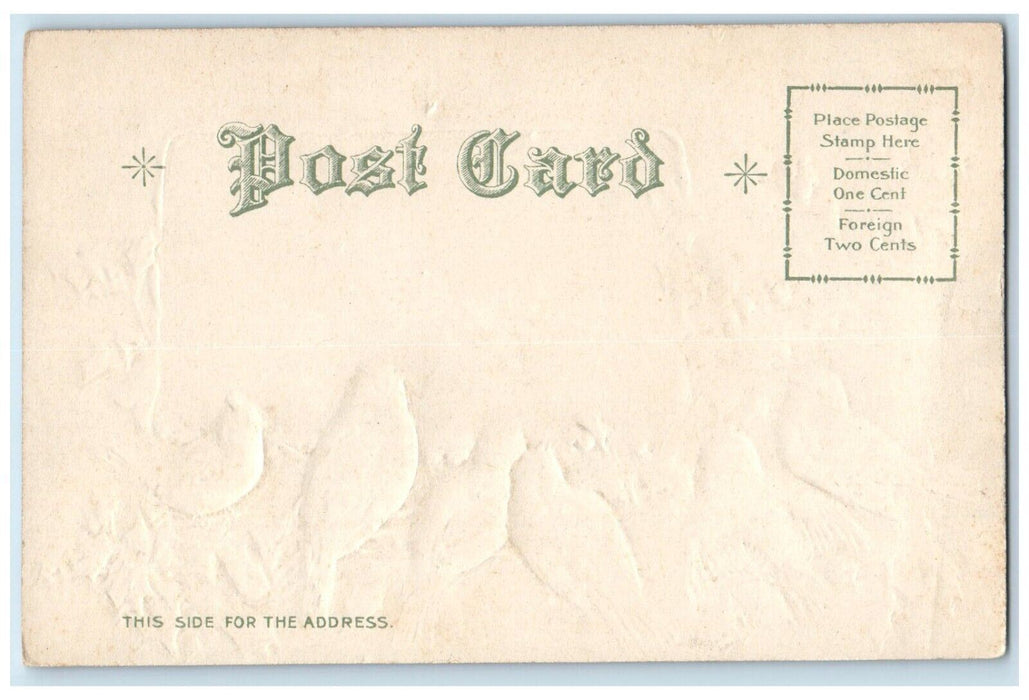 c1905 Christmas Wishes Song Birds Holly Berries House Winter Nash Postcard