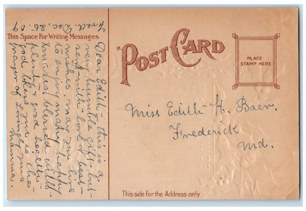 1909 Christmas Holly Berries Flowers House Winter Embossed Antique Postcard