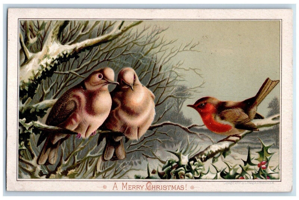 c1905 Christmas Pidgeon Song Bird On Top Of Tree Holly Berries Winter Postcard