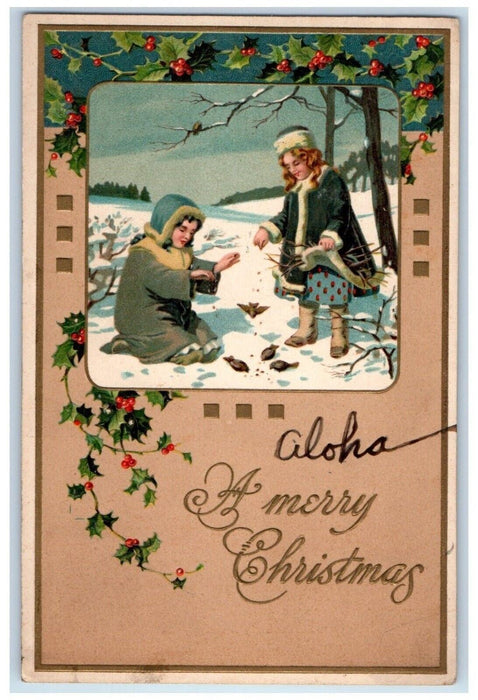 1909 Christmas Woman Feeding Birds Holly Berries Winter Embossed Posted Postcard