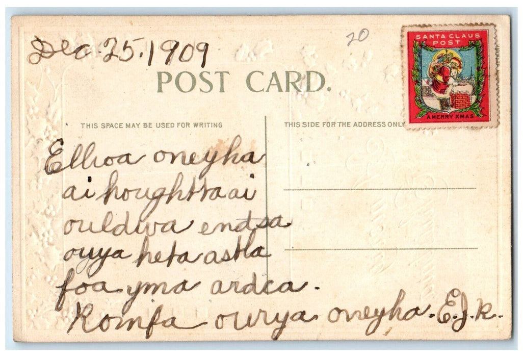 1909 Christmas Woman Feeding Birds Holly Berries Winter Embossed Posted Postcard