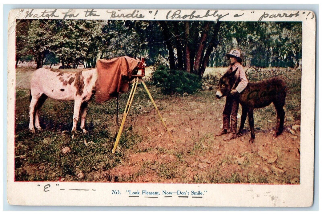 c1910's Horse Taking Photo Look Pleasant Now Don't Smile Posted Antique Postcard