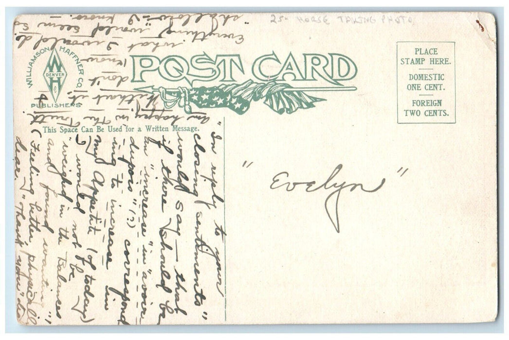 c1910's Horse Taking Photo Look Pleasant Now Don't Smile Posted Antique Postcard