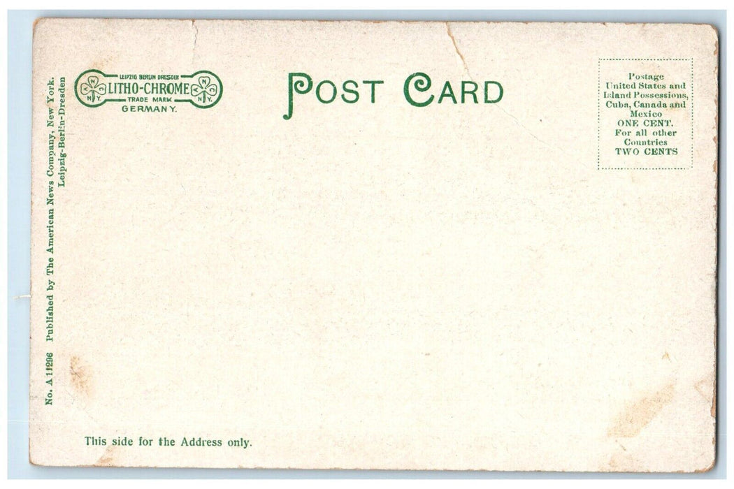 c1905 Ramble Caledonia Park Chambersburg Gettysburg Electric Railway PA Postcard