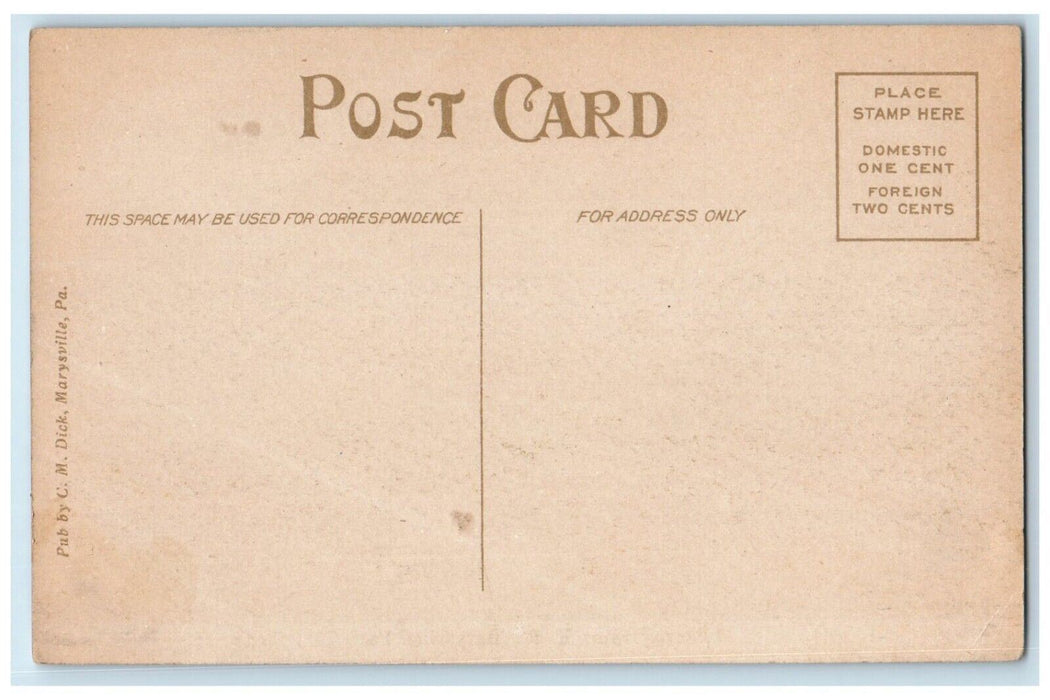 c1910 Pennsylvania Rail Road Train Field Cliff Marysville Pennsylvania Postcard