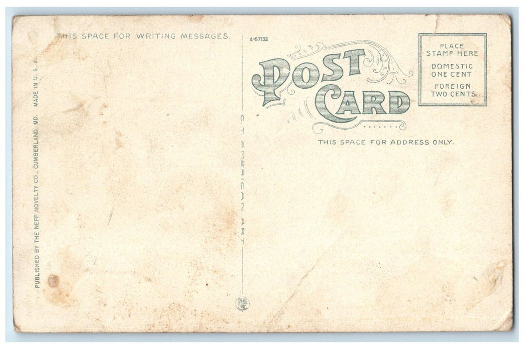 1920 Entrance Narrows Train Station Railroad Bridge Cumberland Maryland Postcard