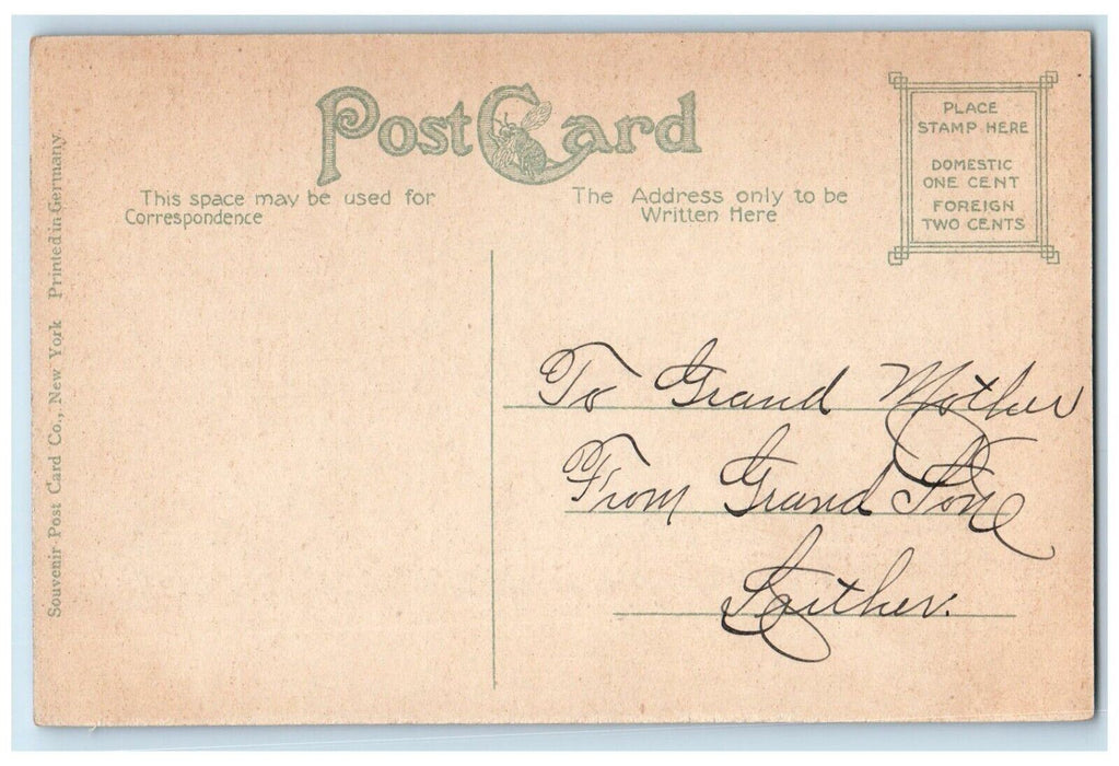 c1910 Mount Penn Gravity Road Railroad Train Trees Reading Pennsylvania Postcard