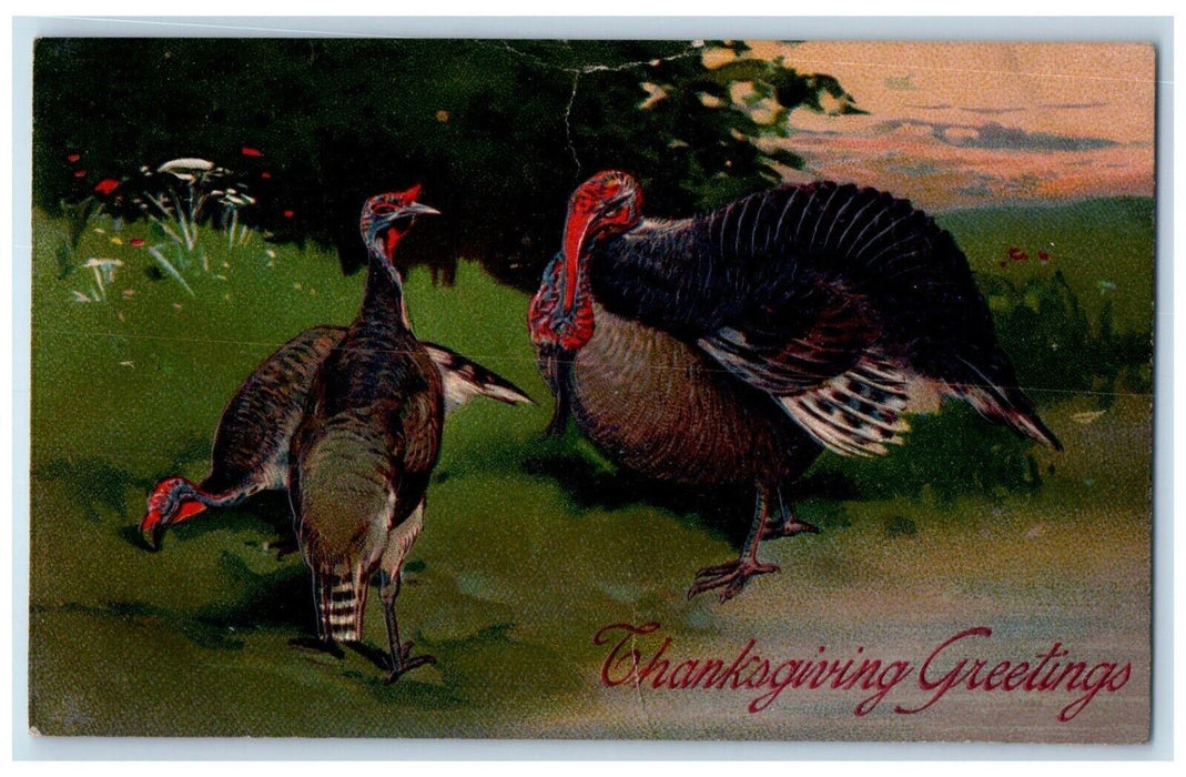 1908 Thanksgiving Greetings Turkey Flowers Embossed Posted Antique Postcard