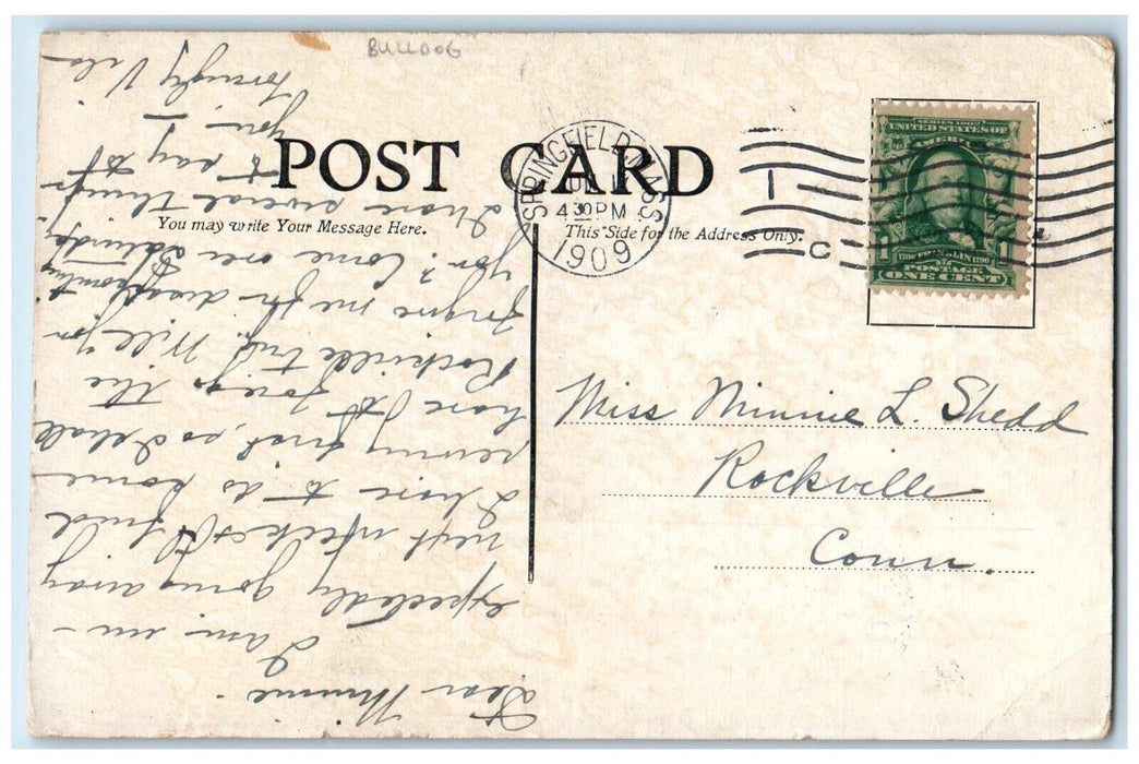 1909 Little Girl And Bulldog Picnic Embossed Springfield MA Antique Postcard
