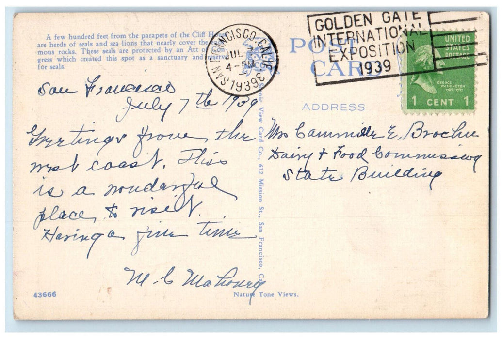 1939 Seal  And Sea Lions Rocks Boat Scene San Francisco California CA Postcard