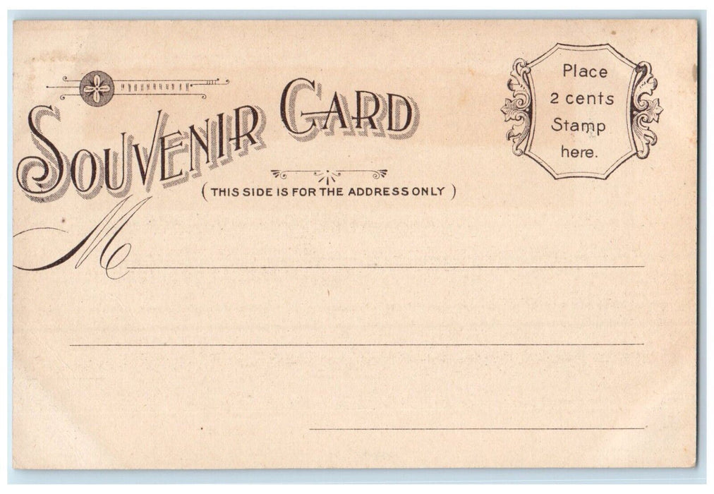 c1905 Palisades Hudson River Steamer Cruise Ship New York NY Souvenir Postcard