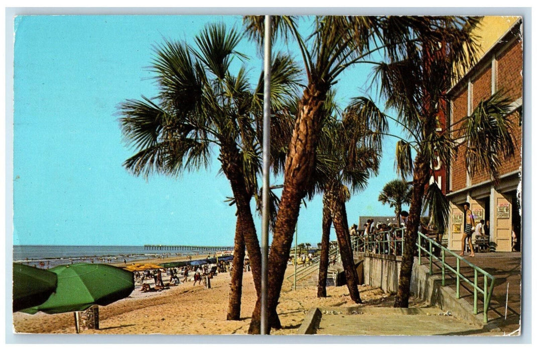 1969 Palms Swaying Ocean Breeze Myrtle Beach South Carolina SC Vintage Postcard