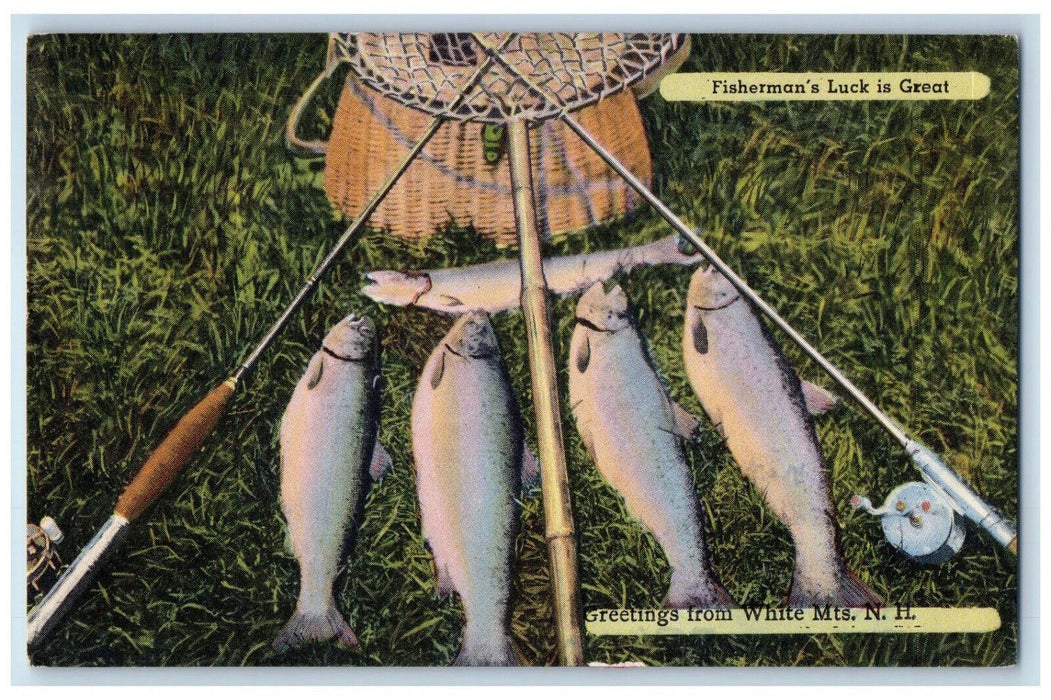 1954 Greetings From White Mts. Contoocook NH, Fisherman Fish Humor Postcard