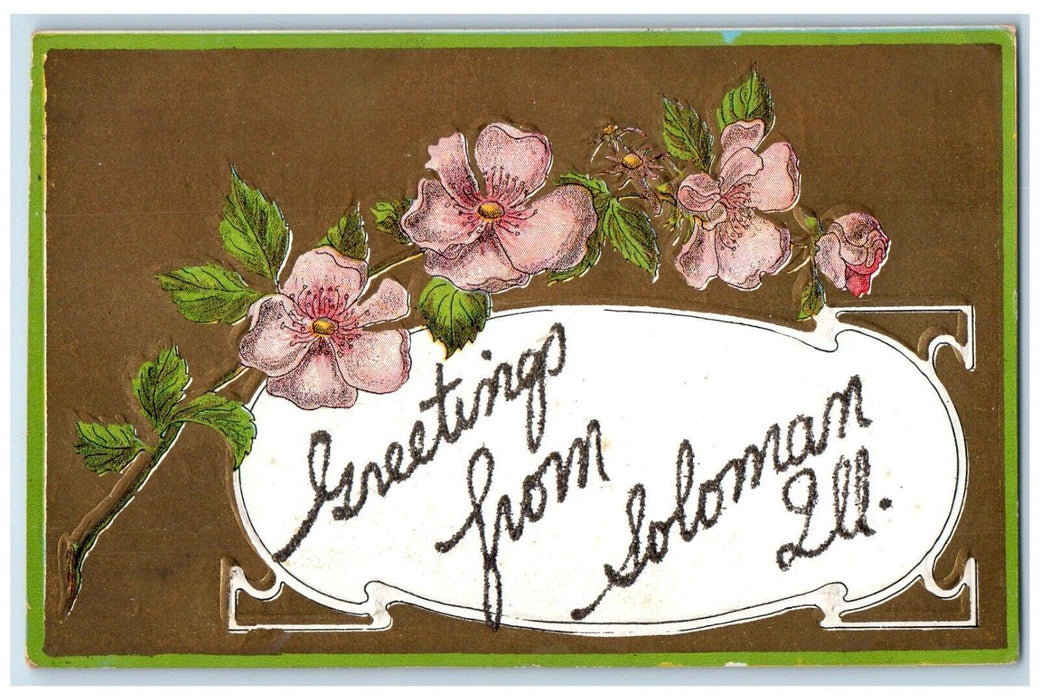 c1910 Glitter Greetings From Flower Embossed Soloman Illinois Vintage  Postcard