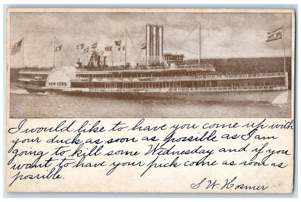 1911 Hudson River Dayline Steamer Ship Killing Ducks Massachusetts MA Postcard