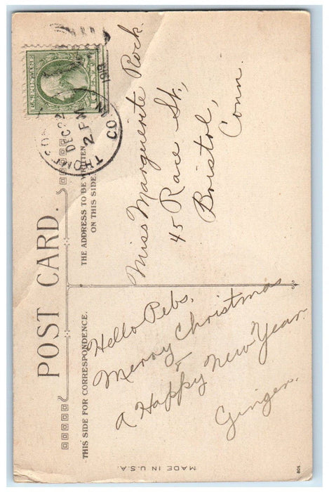 1919 Christmas Poinsettia Boy Puppy Dog Sleigh Holly Berries Antique Postcard