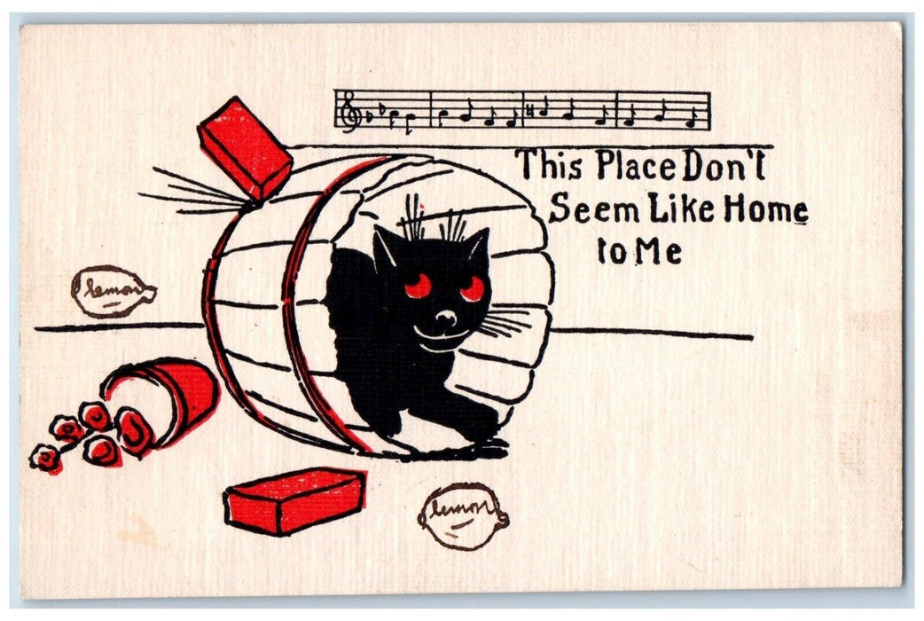 c1905 Black Cat In Barrel This Place Don't Seem Like Home To Me Antique Postcard