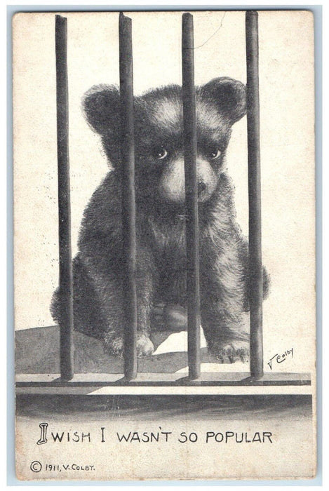 1911 Bear Club I Wish I Wasn't So Popular Mishawaka Indiana IN Antique Postcard