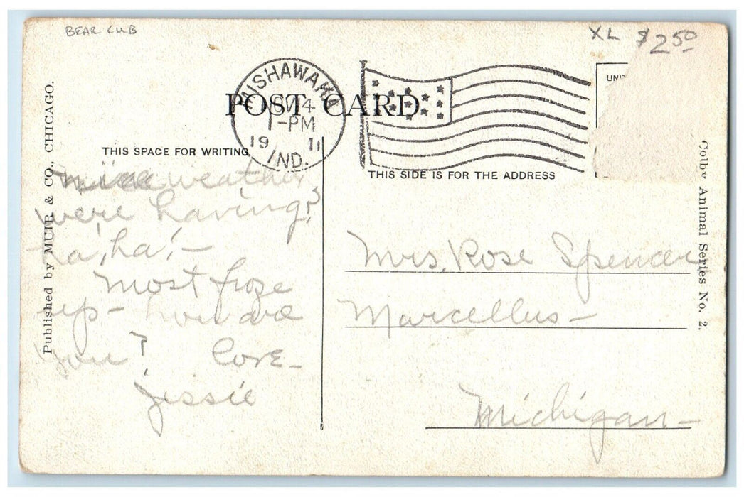 1911 Bear Club I Wish I Wasn't So Popular Mishawaka Indiana IN Antique Postcard