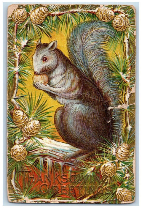 1911 Thanksgiving Greetings Squirrel Eating Nuts Embossed Antique Postcard
