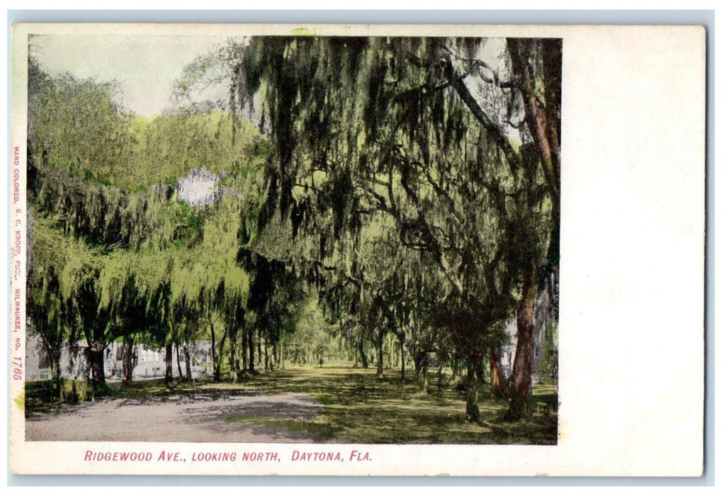 c1905 Ridgewood Avenue Looking North Trees Park Field Daytona Florida Postcard