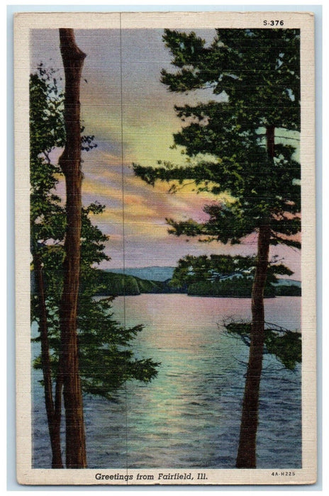 c1940 Greetings From Fairfield Tree River Mountain Illinois IL Vintage Postcard